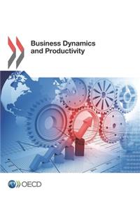 Business Dynamics and Productivity