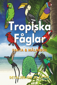 Tropiska Fåglar