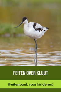 Feiten over Kluut (Feitenboek voor kinderen)