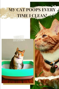 MУ Cat Poops Every Time I Clean