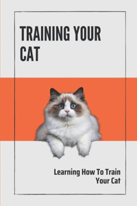 Training Your Cat