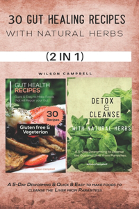 30 Gut Healing Recipes with Natural Herbs