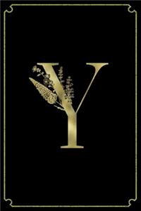 Y