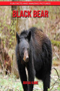 Black Bear