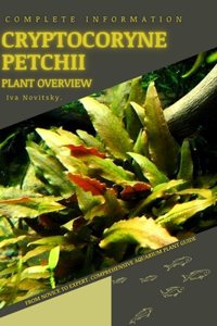Cryptocoryne Petchii