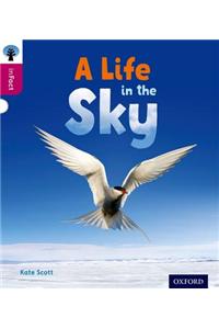 Oxford Reading Tree inFact: Level 10: A Life in the Sky