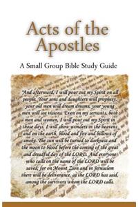 Acts of the Apostles, A Small Group Bible Study Guide