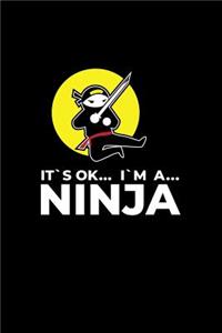 It's Ok I'm A Ninja