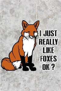 I Just Really Like Foxes Ok?