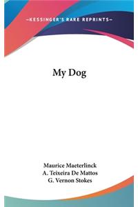 My Dog