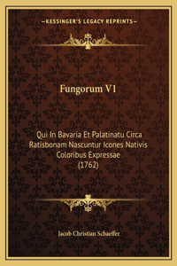 Fungorum V1