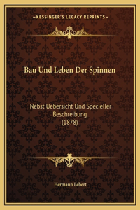 Bau Und Leben Der Spinnen