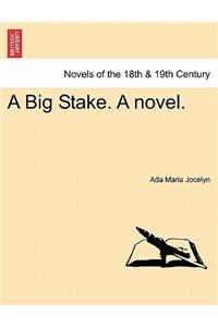 Big Stake. a Novel.