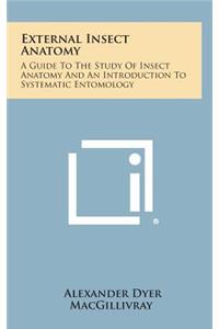 External Insect Anatomy