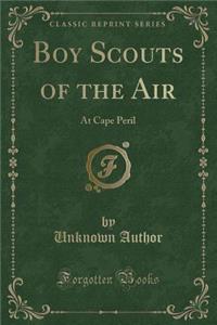 Boy Scouts of the Air: At Cape Peril (Classic Reprint)