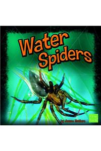 Water Spiders
