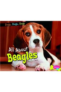 All about Beagles