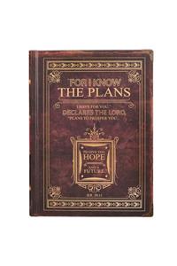 Journal Classic Brown I Know the Plans