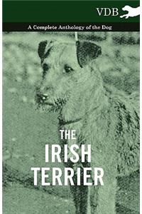 The Irish Terrier - A Complete Anthology of the Dog