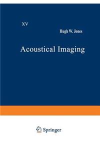 Acoustical Imaging