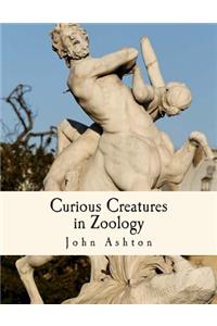 Curious Creatures in Zoology