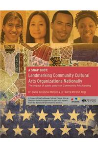 A Snap Shot-Landmarking Community Cultural Arts Organizations Nationally