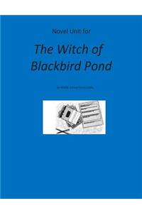 Novel Unit for The Witch of Blackbird Pond
