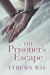 The Prisoner's Escape