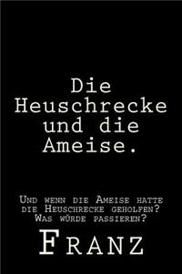 Die Heuschrecke und die Ameise.