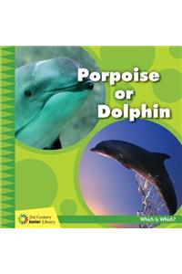 Porpoise or Dolphin