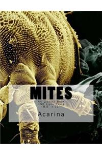 Mites