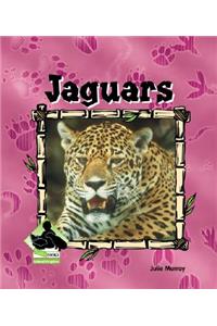 Jaguars