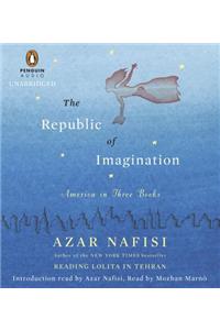 The Republic of Imagination