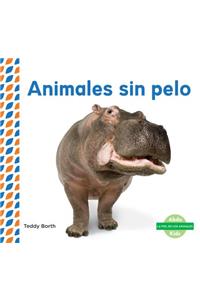 Animales Sin Pelo (Hairless Animals )