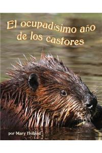 El Ocupadísimo Año de Los Castores (Beavers' Busy Year, The)