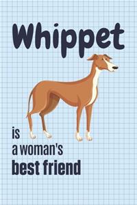 Whippet is a woman's Best Friend