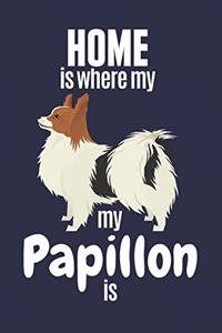 Home is where my Papillon is