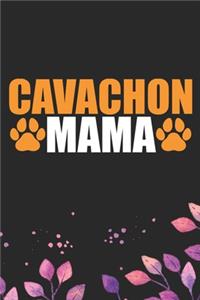 Cavachon Mama