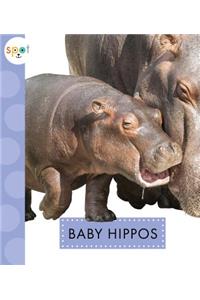 Baby Hippos