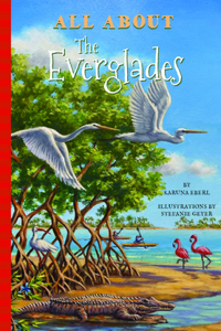 All about the Everglades