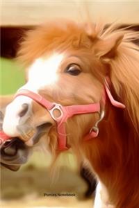 Ponies Notebook
