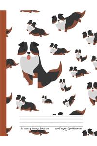 Primary Story Journal