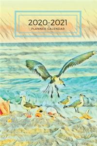 Teal Blue Sea Shells and Gulls Dated Calendar Planner 2 years To-Do Lists, Tasks, Notes Appointments