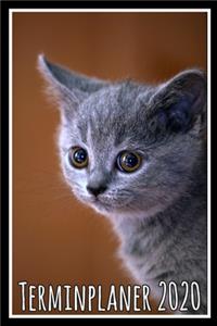 Terminplaner 2020