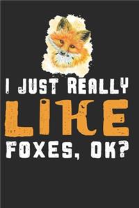 I just Really Like Foxes, Ok?