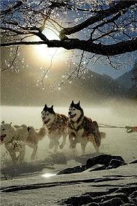 Dog Racing Notebook