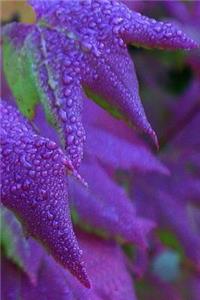2019 Daily Planner Pretty Purple Leaves 384 Pages