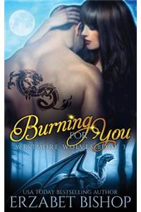 Burning For You