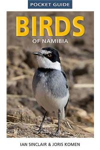 Pocket Guide to Birds of Namibia