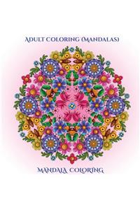 Adult Coloring (Mandalas)